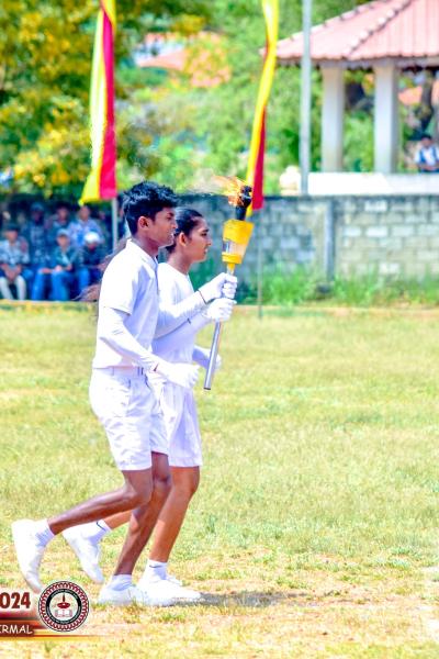 493068012 1255523639915499 1122620686207711611 N