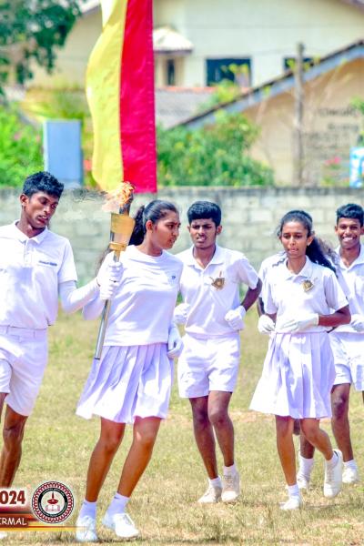 493103950 1255523656582164 7673335028103319460 N