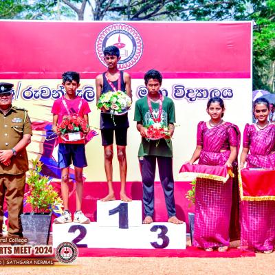 493297256 1255523879915475 2825097195678212999 N 1