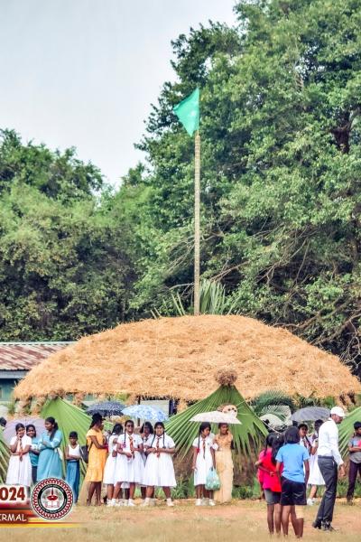 493309327 1255523649915498 8174328889162172523 N