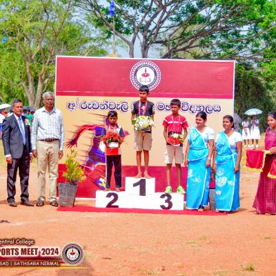 493911180 1255523549915508 8352962337866648369 N