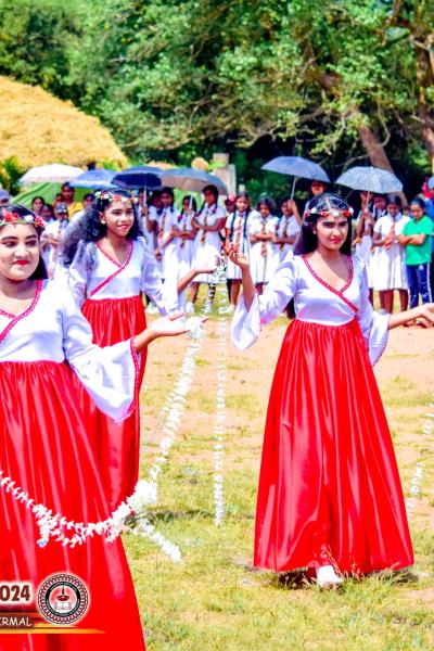 494183152 1255523643248832 4017385669128979211 N