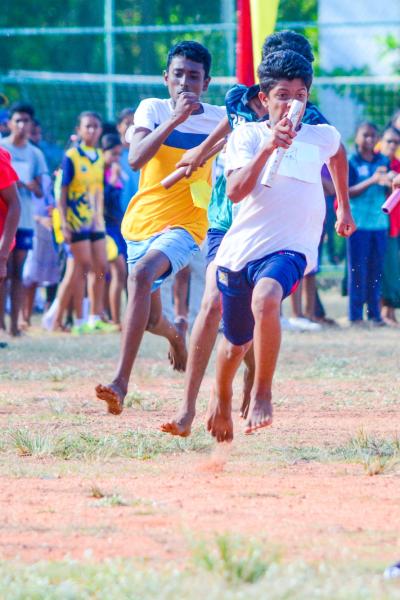 493145019 1257133473087849 7963916461814829987 N