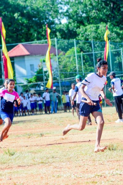 493577249 1257133239754539 4411329276380915668 N