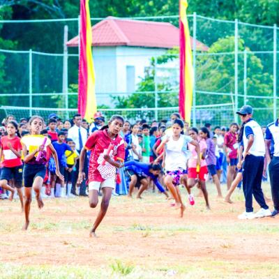 493601632 1257133396421190 2271700484766727526 N