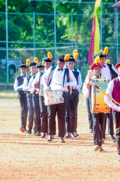 493730283 1257133209754542 7158738497386972536 N