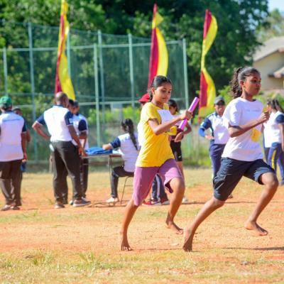 493823105 1257133539754509 5611061189530953377 N