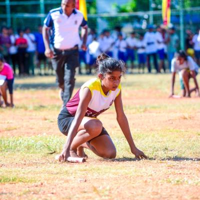 493928969 1257133136421216 4617561816468257612 N