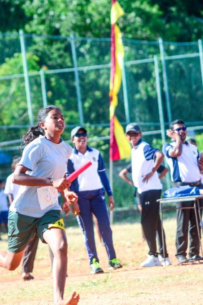 493981650 1257133353087861 4262968293146555384 N