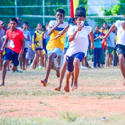 2024  කොට්ඨාස තරඟ